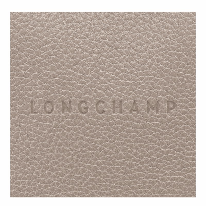 Longchamp Le FOULONNÉ M Crossbody bag - Leather Grey | KUND15720