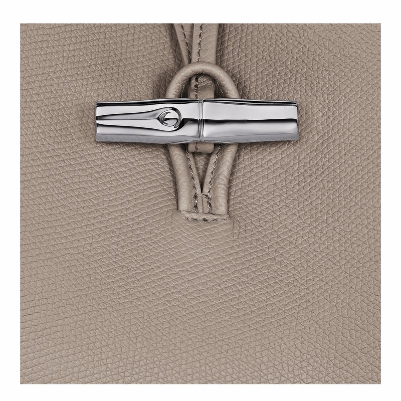 Longchamp Le Roseau M Shoulder bag - Leather Grey | JFUC15062
