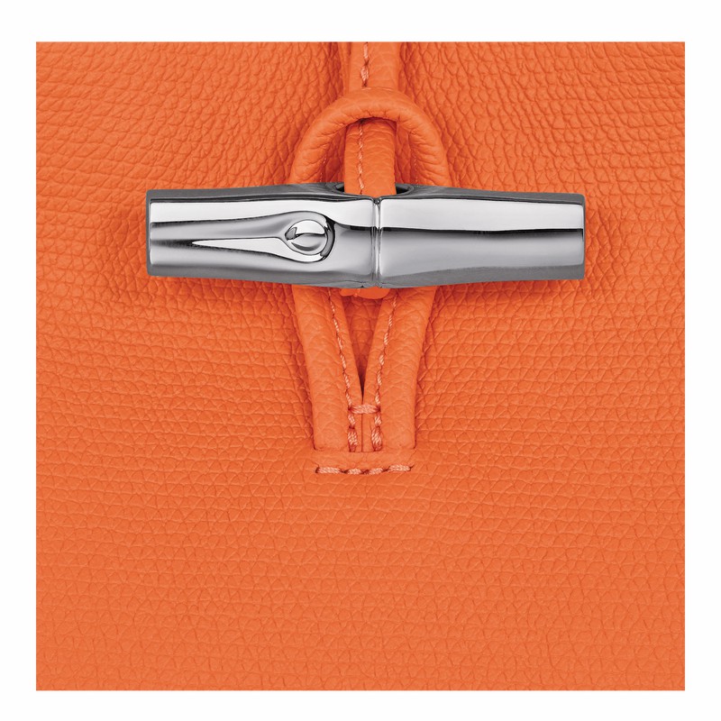 Longchamp Le Roseau S Handbag - Leather Orange | FOMV56271